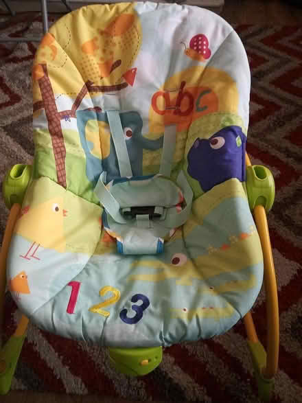 Photo of free baby rocker (Dukinfield) #1