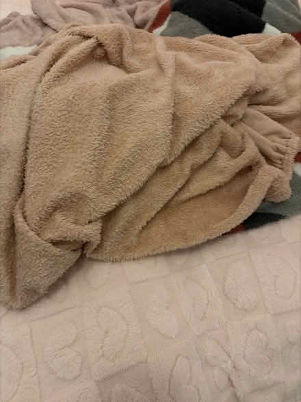 Photo of free Single teddy bear bedding (Fountainbridge EH3) #4