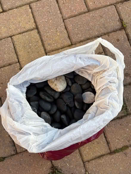 Photo of free Ornamental Pebbles (Comeytrowe District Ward TA1) #2
