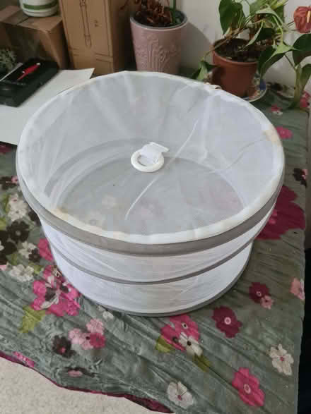 Photo of free Cake cover (Lewes BN7) #1