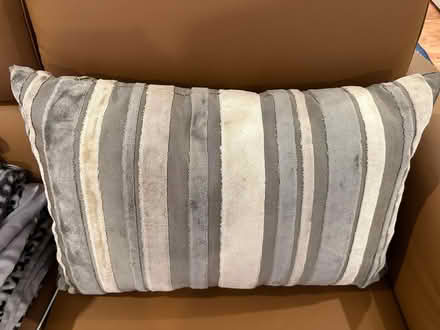 Photo of free Feather decor pillow (Lynnwood, Ash Way area) #2
