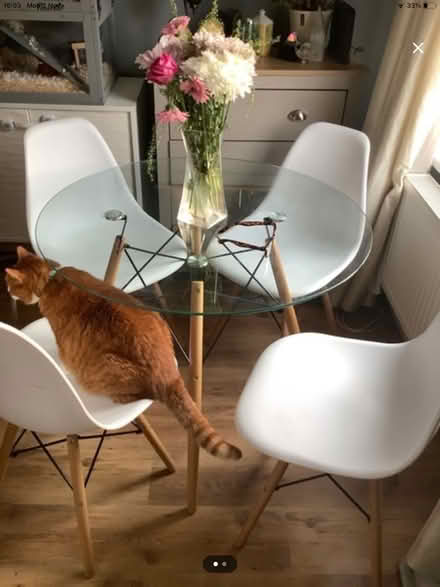 Photo of free Table and chairs (Norwich) #1