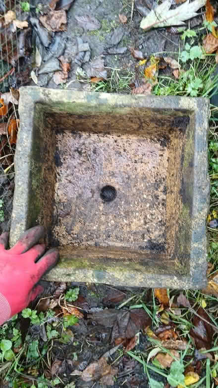 Photo of free Concrete plant pot (Newburgh KY14) #3