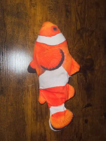 Photo of free Flapping fish pet toy (cats/dogs) (Water Eaton MK2) #1