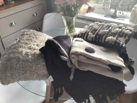 Photo of free 3 throws and a cushion (Norwich) #1