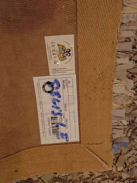 Photo of free chamois leather rug (Caterham CR3) #2