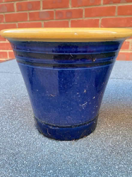 Photo of free 3 plant pots (Cutteslowe OX2) #4