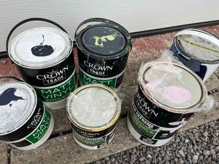 Photo of free Lots of wall paint (Winterbourne BS36) #1