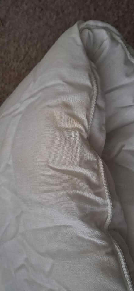Photo of free Single duvet 10.5 tog (KGH area NN16) #3