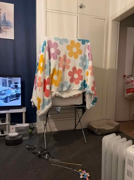 Photo of free Single teddy bear bedding (Fountainbridge EH3) #1