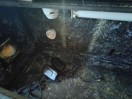 Photo of free Reptile enclosure (Downtown Vallejo) #1