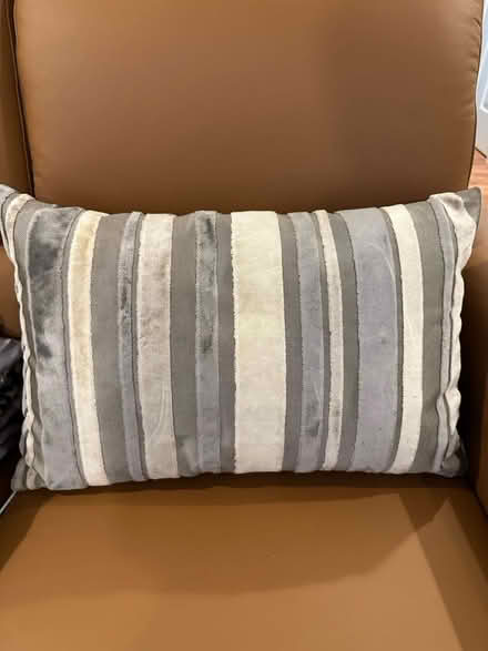 Photo of free Feather decor pillow (Lynnwood, Ash Way area) #1