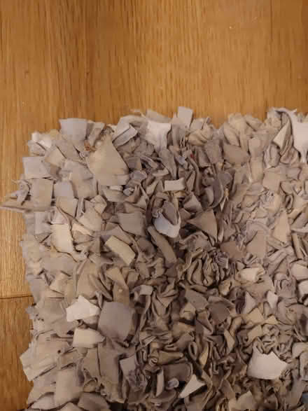 Photo of free chamois leather rug (Caterham CR3) #1