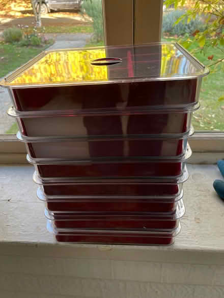 Photo of free Jewelry, bead, etc trays (Wallingford) #3