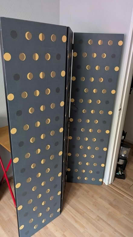 Photo of free Moon Cycle Folding Screen (Salford, M3) #1