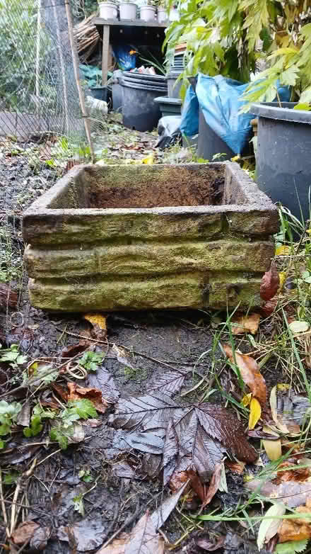 Photo of free Concrete plant pot (Newburgh KY14) #2