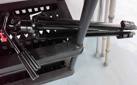 Photo of free stuffed animals,tripod,xmas stand (chappaqua) #1