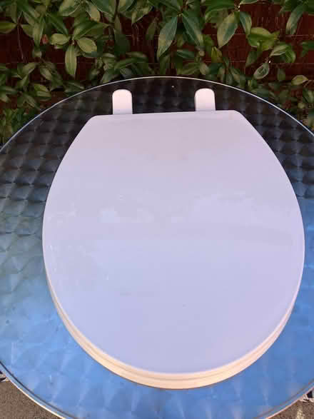 Photo of free White toilet seat (Concord) #1
