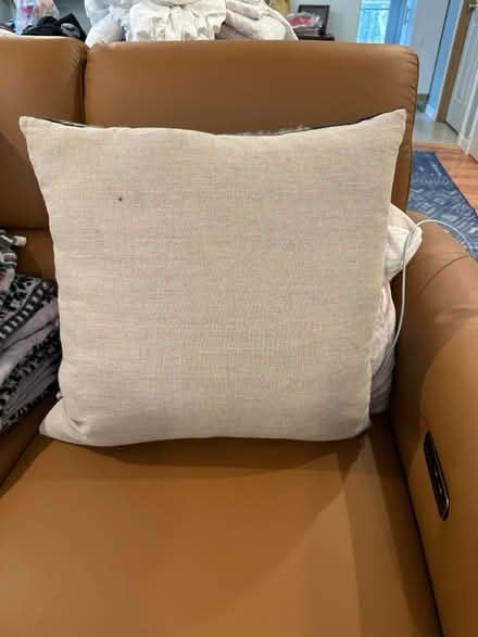 Photo of free Feather decor pillow (Lynnwood, Ash Way area) #2