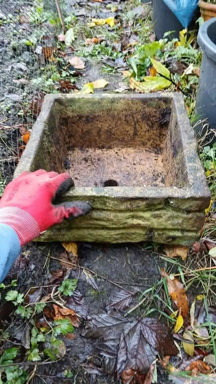 Photo of free Concrete plant pot (Newburgh KY14) #1