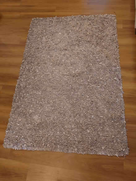 Photo of free chamois leather rug (Caterham CR3) #3