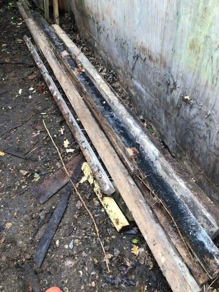 Photo of free Various timber (Sprowston NR7) #1