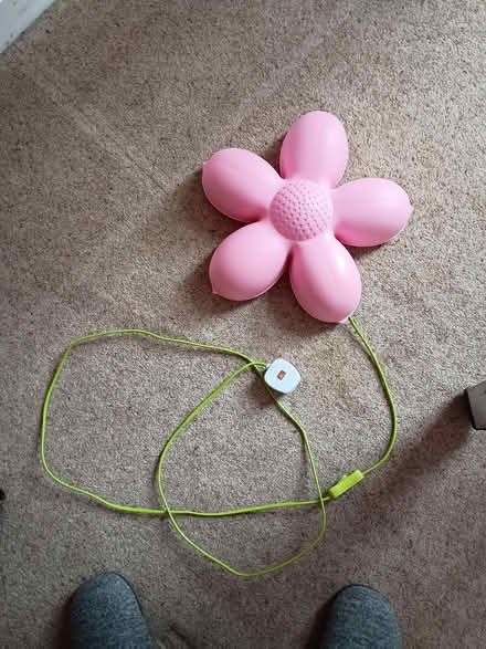 Photo of free Flower wall light (Stoughton GU2) #1