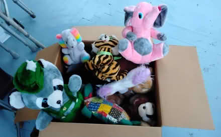 Photo of free stuffed animals,tripod,xmas stand (chappaqua) #3