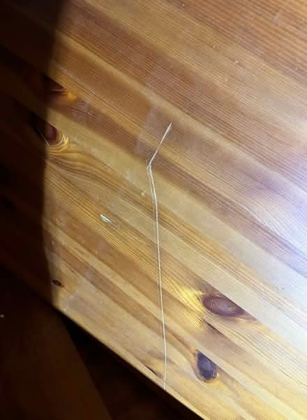 Photo of free Dining table (Rutherglen) #3