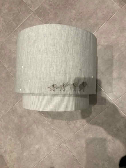 Photo of free Lamp shade (Carlisle CA2) #1