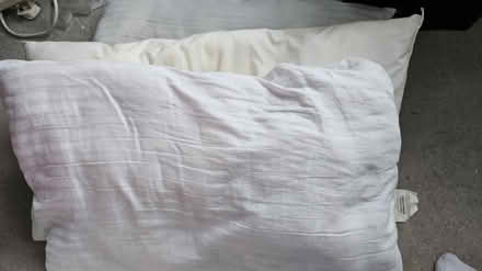 Photo of free Old pillows (CT8) #1