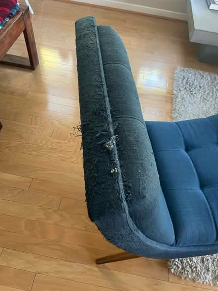 Photo of free chair (South Maple Ave) #3