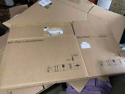 Photo of free Moving boxes (Meadowvale, Mississauga) #1