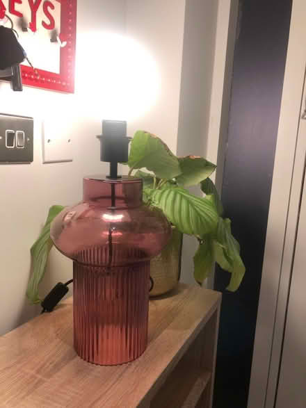 Photo of free Made.com lamp (Hertford EN11) #1