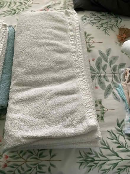 Photo of free Towels (Kingsway) #1
