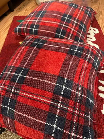 Photo of free Winter pillows (feather) (Lynnwood, Ash Way area) #3