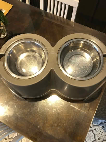 Photo of free Dog feeding station (Sale M33) #2