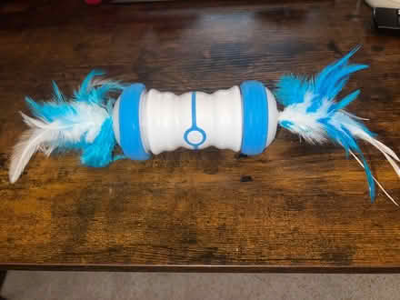 Photo of free Feathered rolling cat toy (Water Eaton MK2) #1