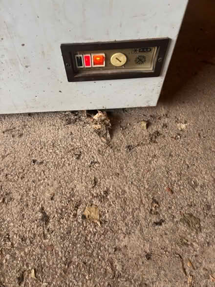 Photo of free Small chest freezer (BL2) #2