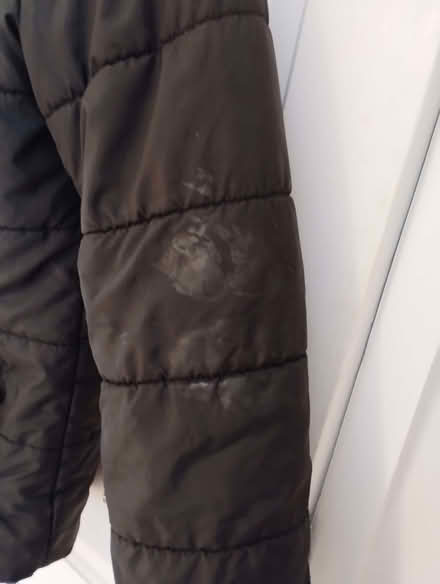 Photo of free Girl's puffer jacket (Boxmoor HP1) #2