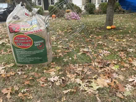 Photo of free Curb Alert - Straw and Tomato Cages (Sleepy Hollow, NY) #1