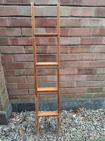 Photo of free Bunk bed ladder (Alsager ST7) #1