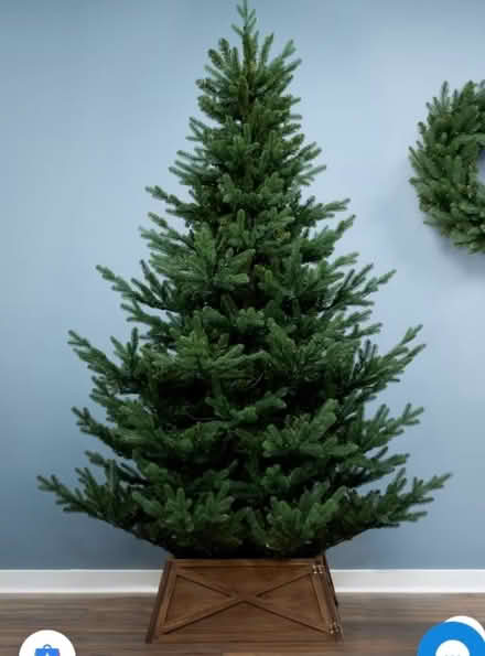 Photo of Christmas tree (Stroud GL5) #1