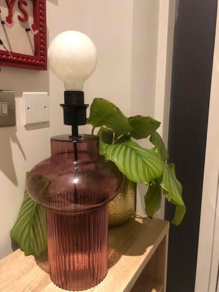 Photo of free Made.com lamp (Hertford EN11) #2