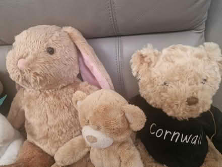 Photo of free Bunny and bears cuddly toy bundle (Isleworth TW7) #3