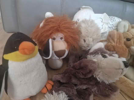 Photo of free Wild animal cuddly toy bundle (Isleworth TW7) #2
