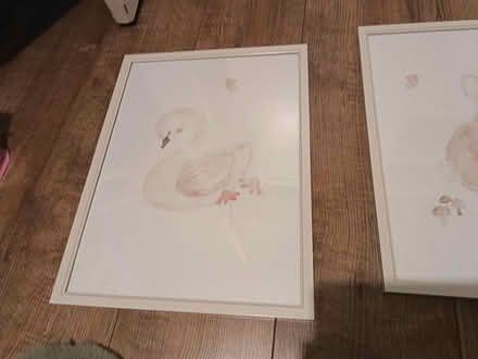 Photo of free 2 pictures for girls / baby room (Droylsden M43) #4