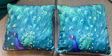 Photo of free Small Peacock Cushions x 2 (Rainham, Kent) #1
