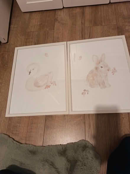 Photo of free 2 pictures for girls / baby room (Droylsden M43) #2