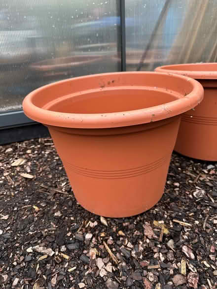 Photo of free Large plant pots (Starbeck HG1) #2